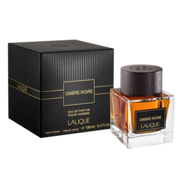 Lalique Lalique Omber Noir Men Edp 100Ml