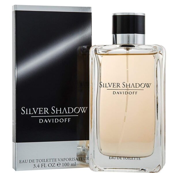 SILVER SHADOW MEN EDT 100ML DAVIDOOF