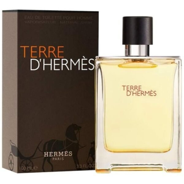 TERRE D HERMES EDT 100ML HERMES