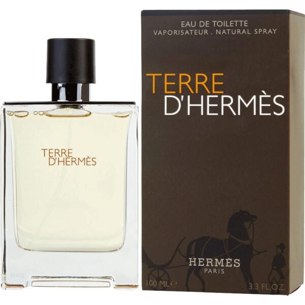 TERRE D-HERMES EDT 100ML - HERMES