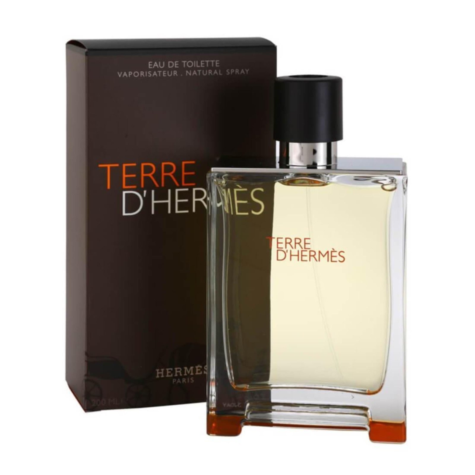TEREE DE HERMIS EDT 200ML - HERMES