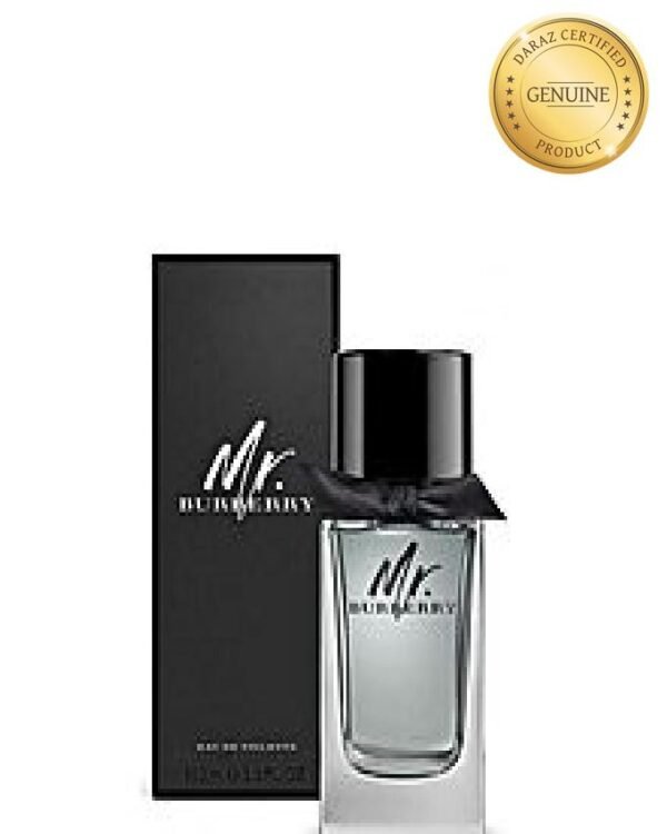 Mr. Burberry Eau-de-toilette for Men - 100 ml