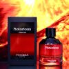 Paris Corner Notorious Pendora 100ML (Dior Fahrenheit ) ShopForever.pk
