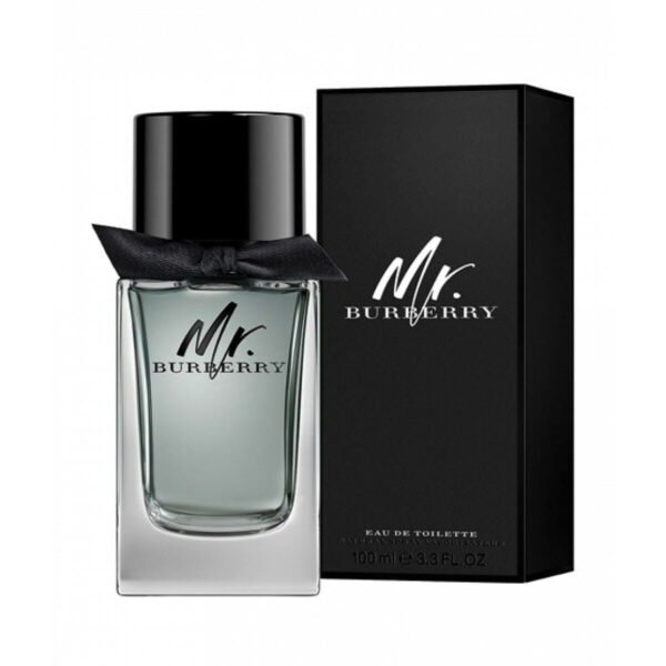 Burberry Mr Burberry Men Edt 100Ml