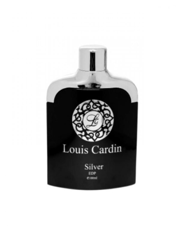 Silver for Men - 100 ml