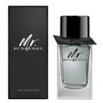 Burberry Mr Burberry Men Edt 100Ml
