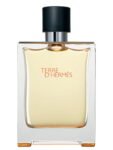 Hermes Terre D Hermes Edt 100Ml