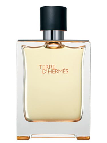 Hermes Terre D Hermes Edt 100Ml