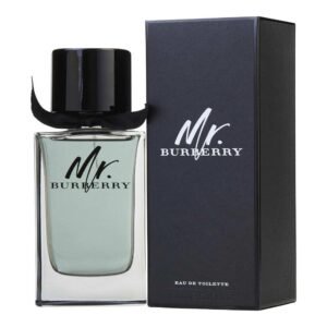 MR BURBERRY MEN EDT 100ML - BURBERRY