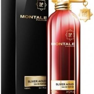 Montale Silver Aoud Edp 100ml Perfume Spray