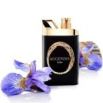 Accendis Aclus Edp 100ml Tester